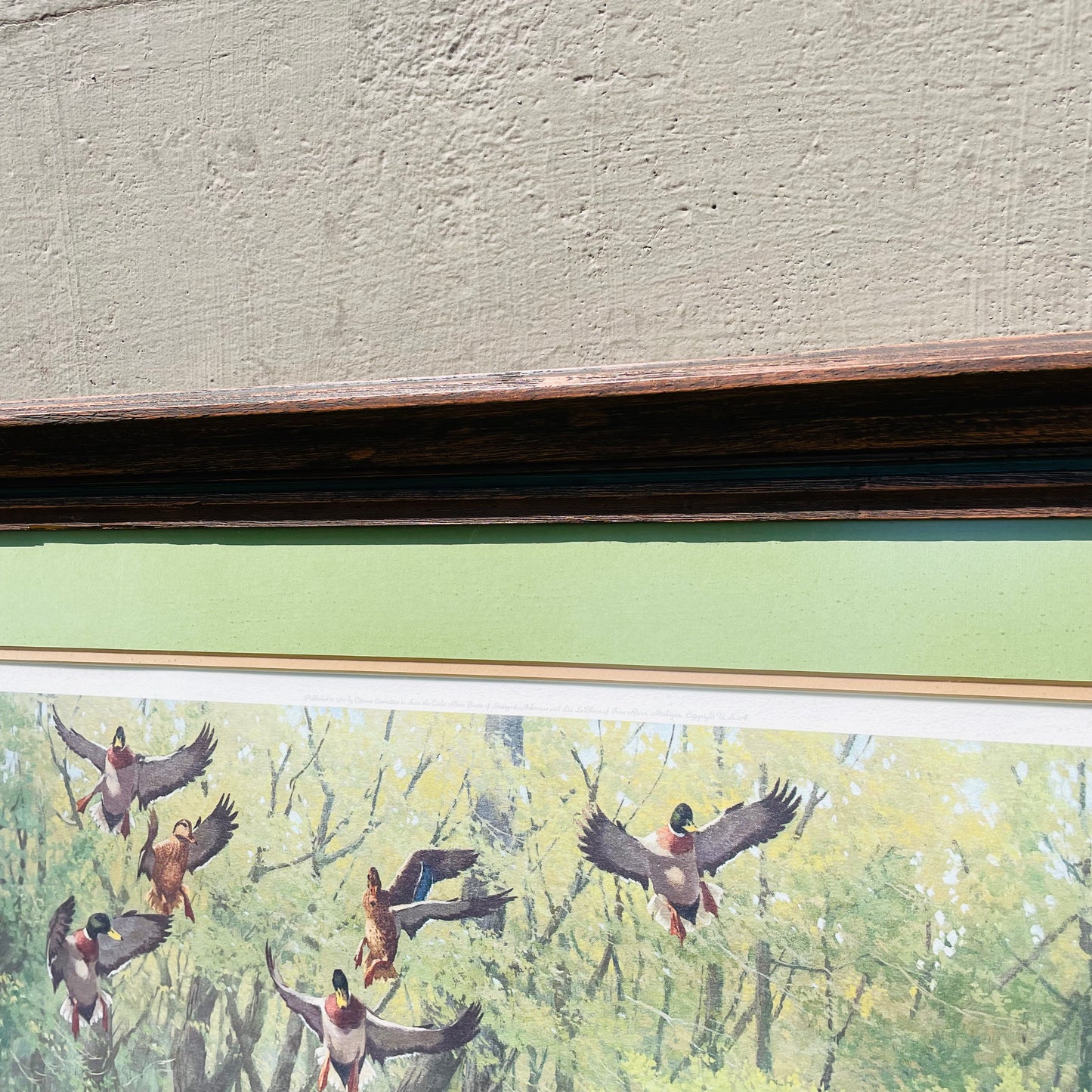 Framed "Cache River Mallard" Print by Lee LeBlanc- Vintage