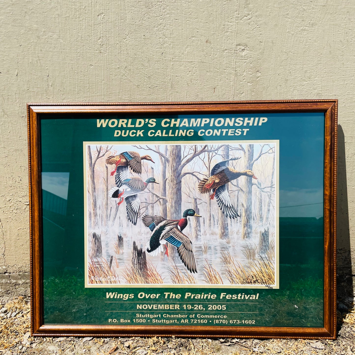 Framed 2005 WOTP Poster- Vintage