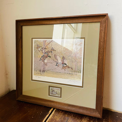 Framed 1981-1982 Duck Stamp with "Bayou Meto Mallards" Print- Vintage