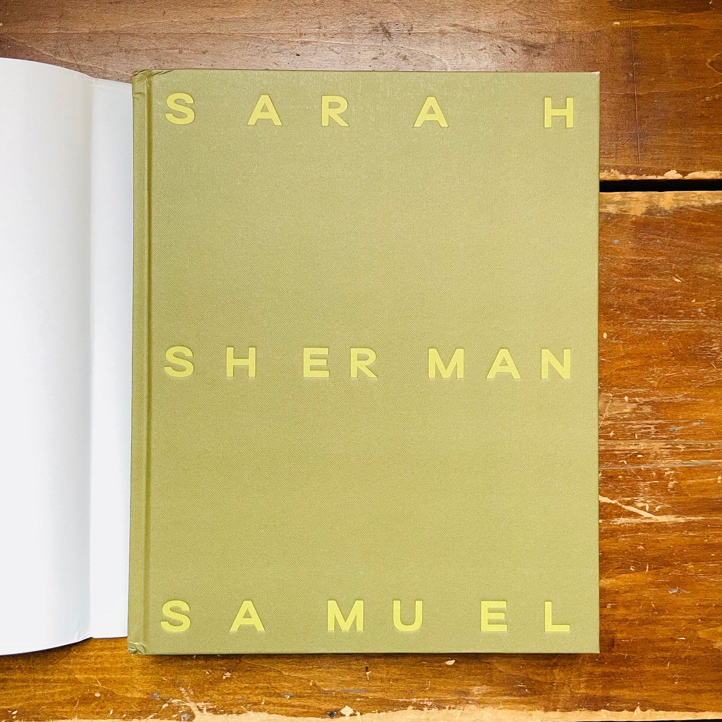 Sarah Sherman Samuel: The Intersection of Art and Design