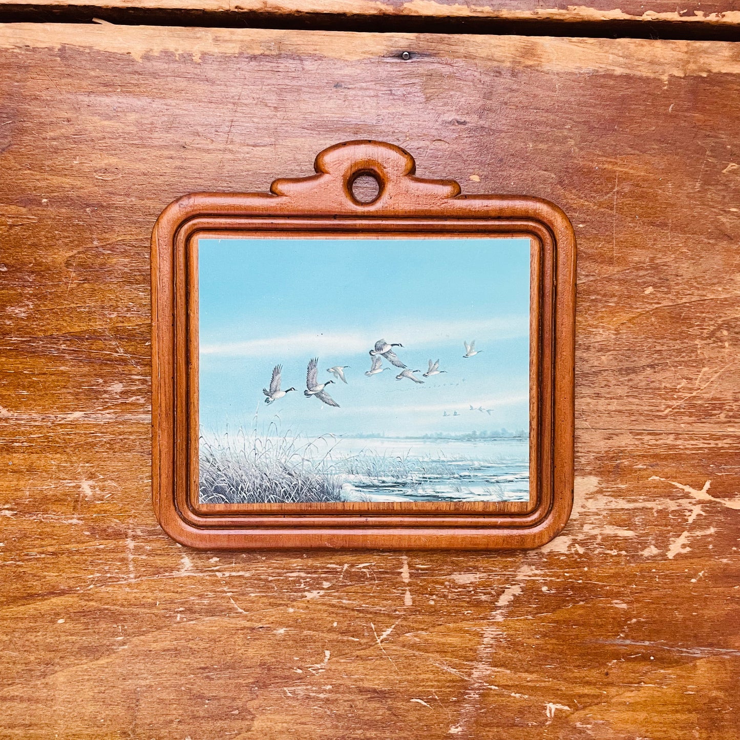 Set of Small Hanging Wooden Plaques with Waterfowl Scenes- Vintage