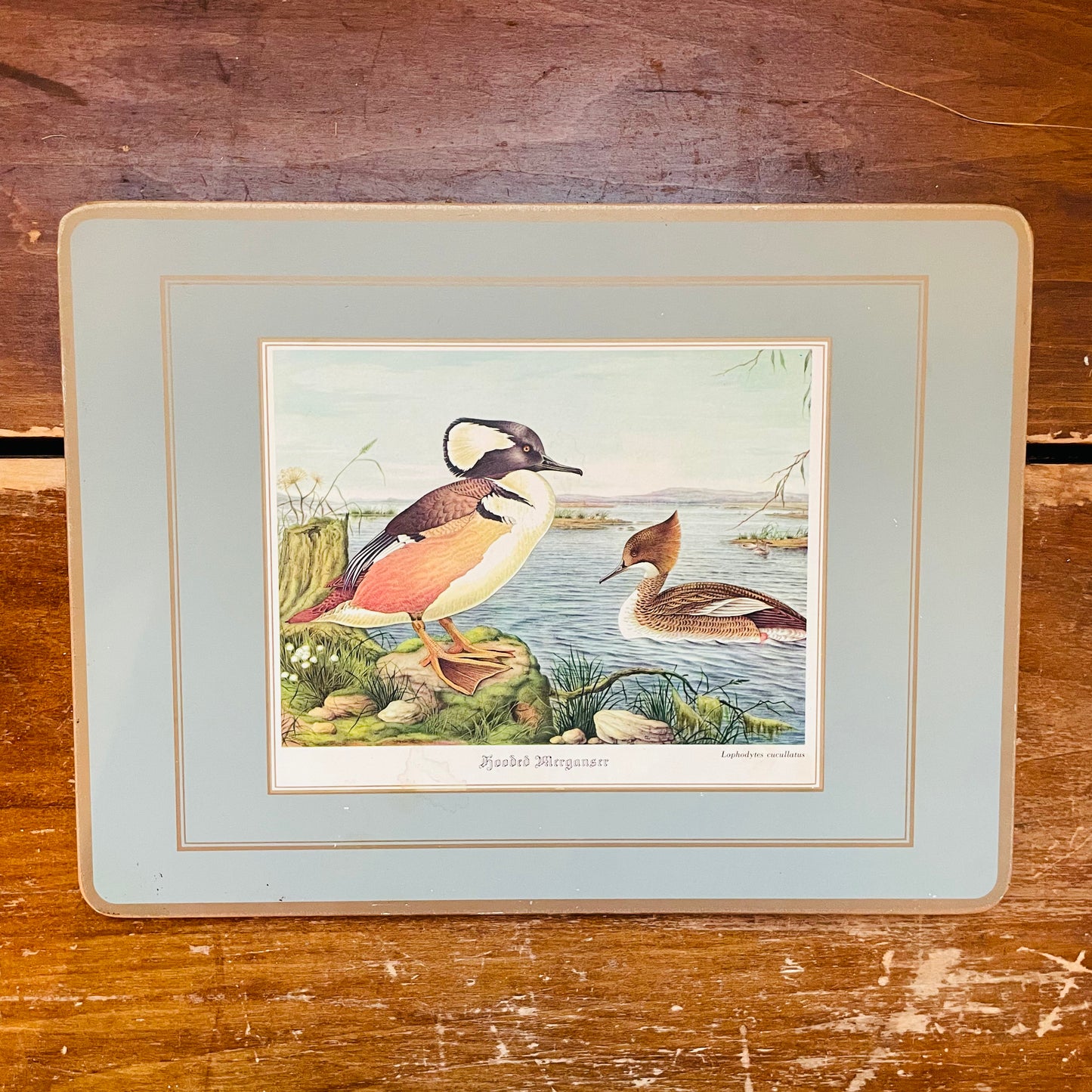 Pimpernel Waterfowl Placemat- Vintage