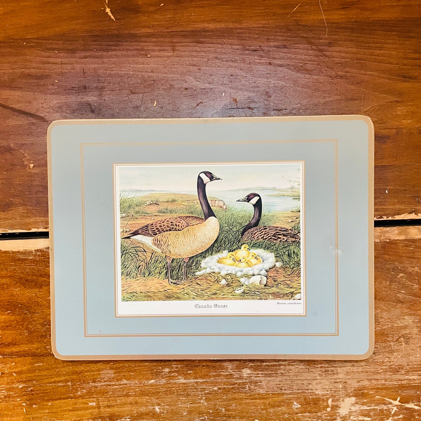 Pimpernel Waterfowl Placemat- Vintage