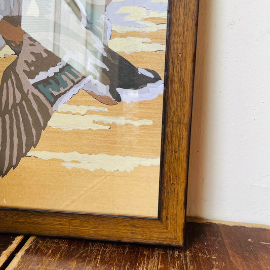 Mallards Flying Left Paint by Number Framed Print
