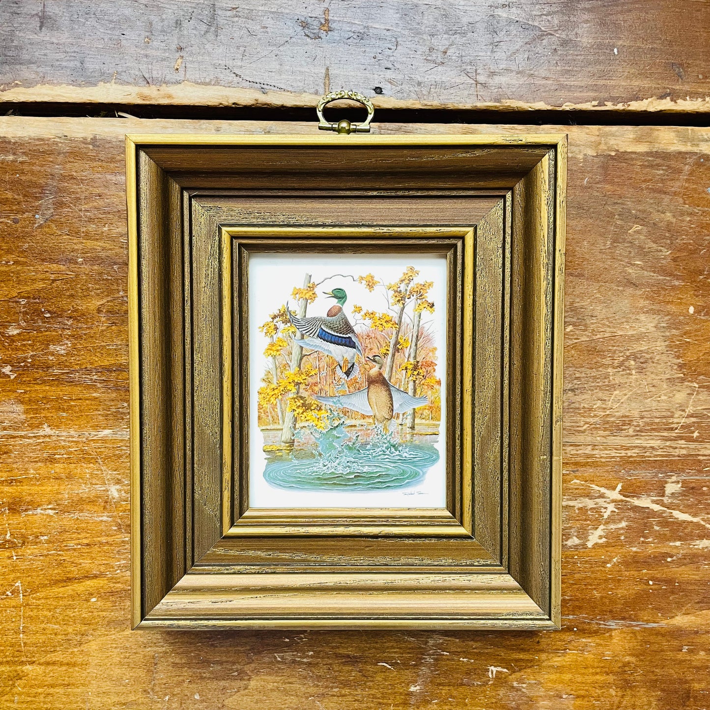 Nature House Mallard Print- Vintage
