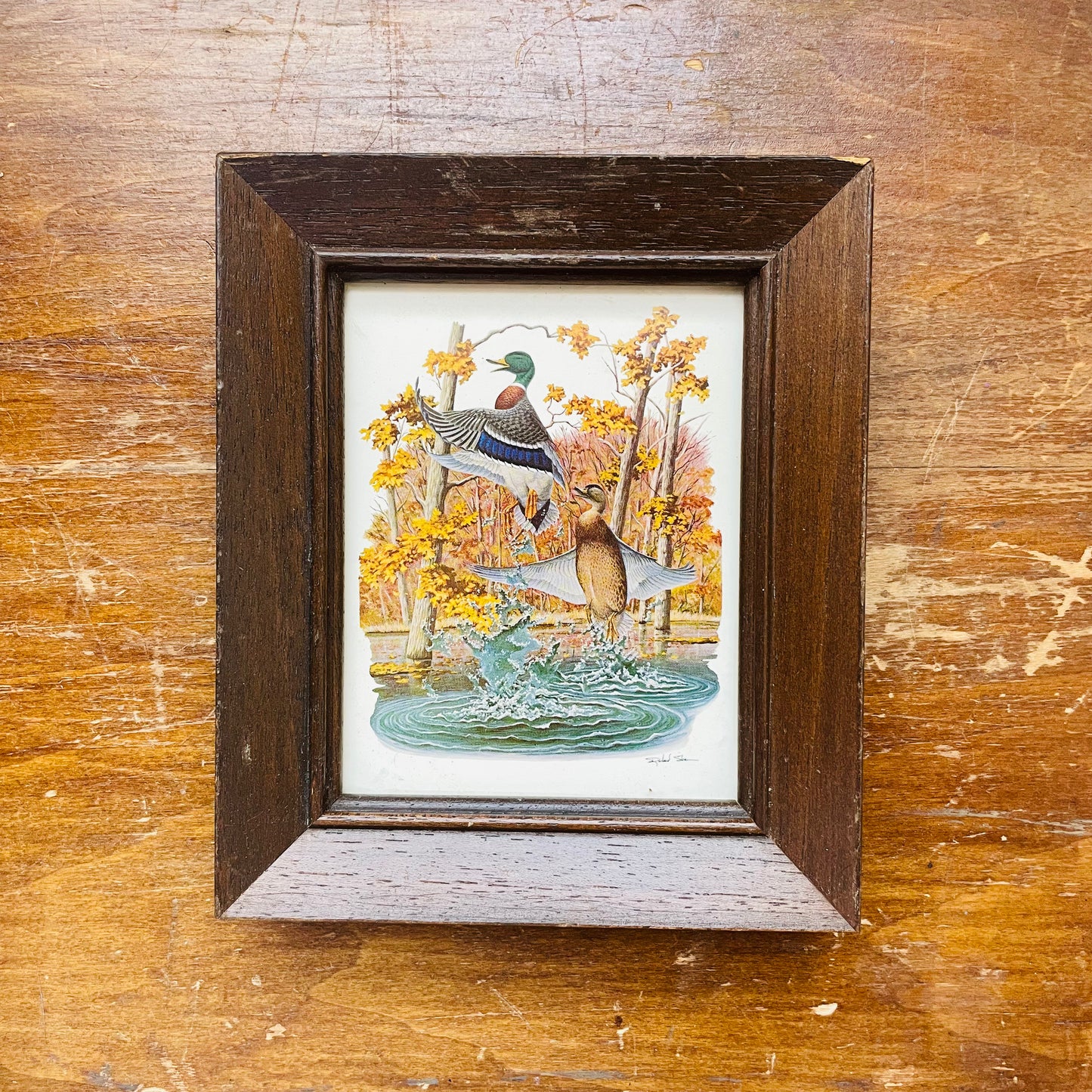 Nature House Mallard Print- Vintage