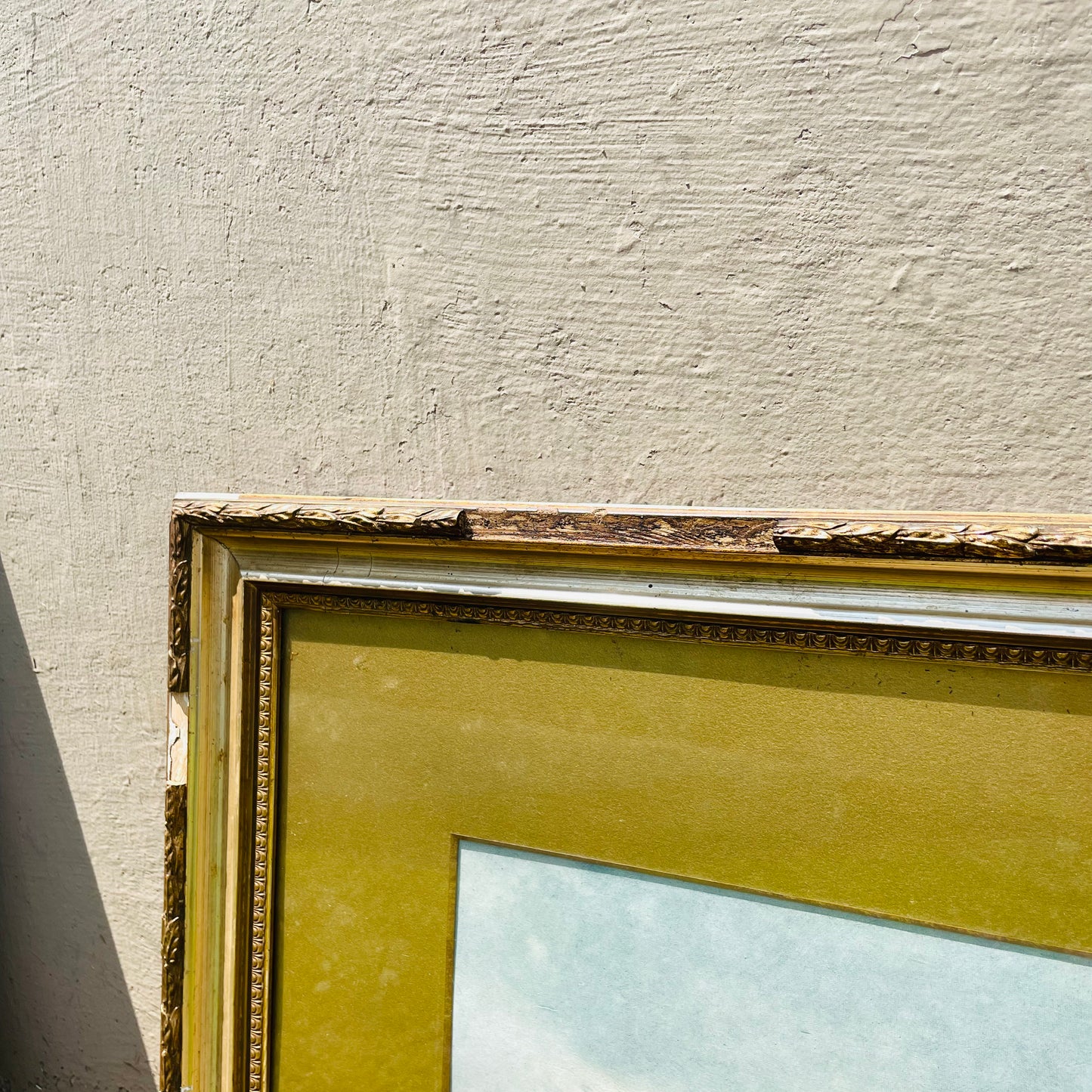 Distressed Frame & Matted Print by F. Arnold- Vintage