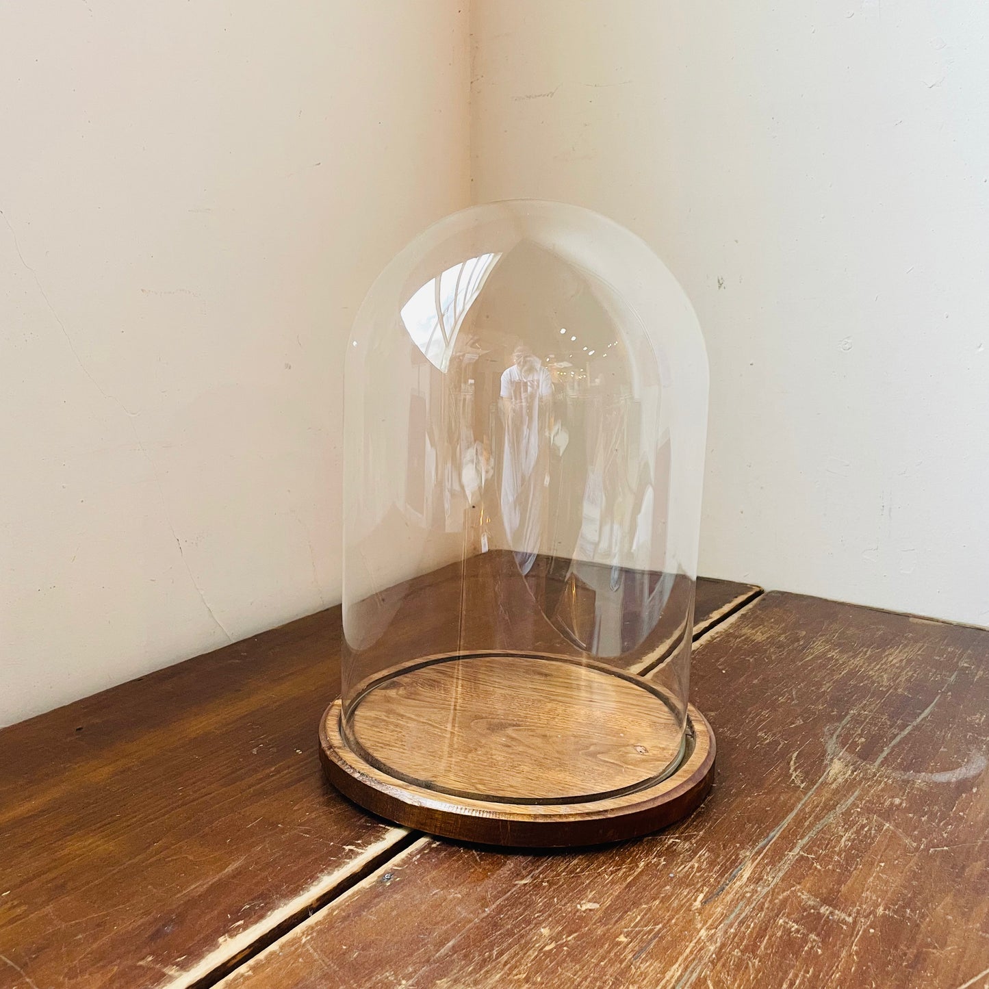 Glass Cloche with Wood Base- Vintage