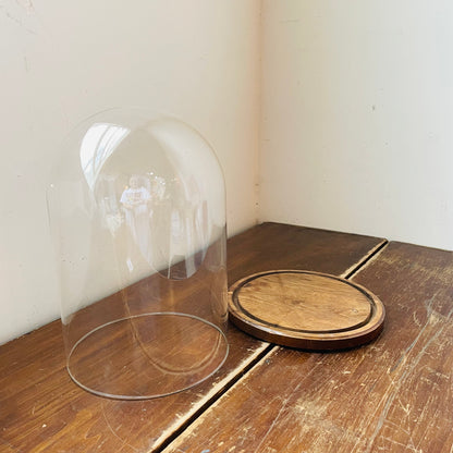 Glass Cloche with Wood Base- Vintage