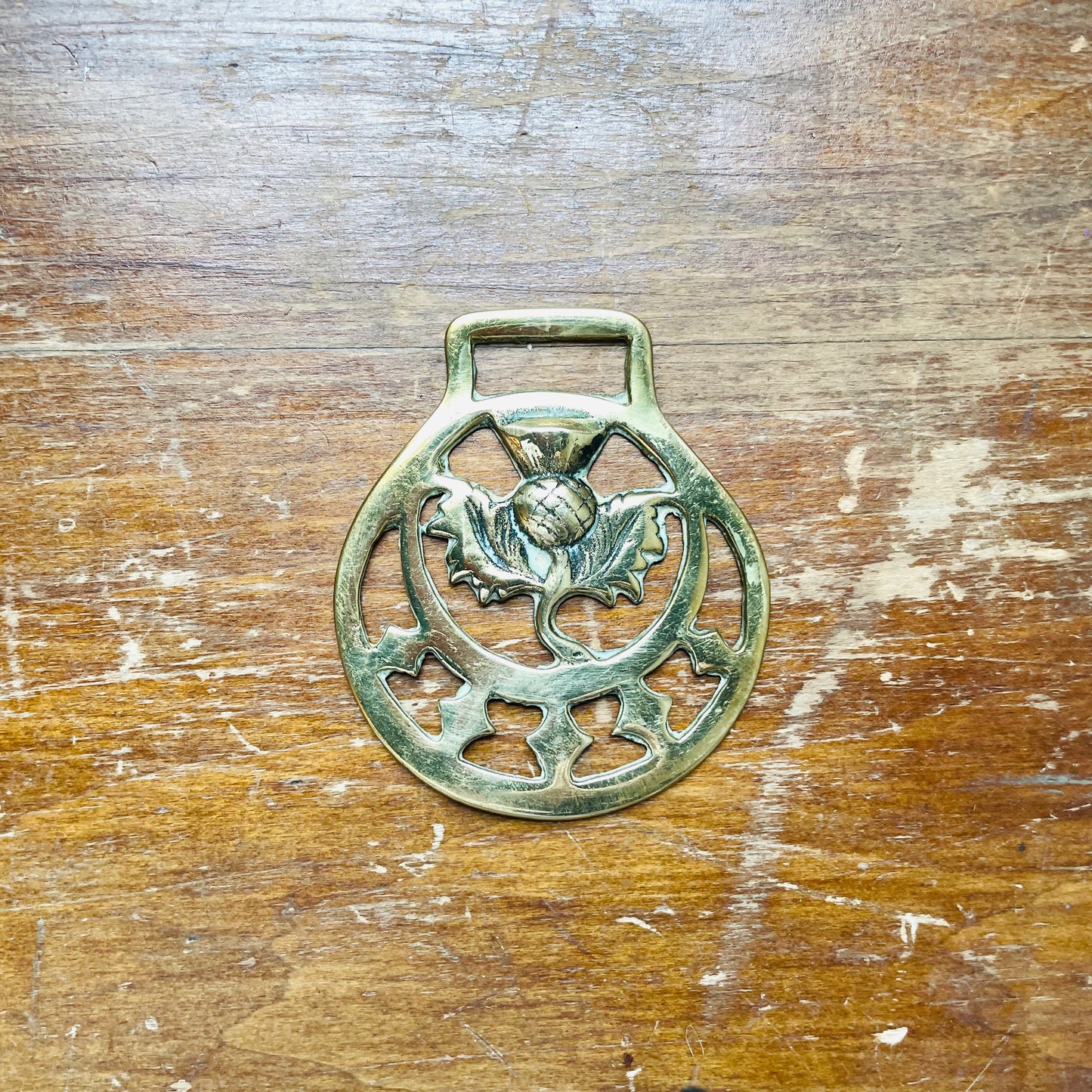 Horse Brass II- Vintage