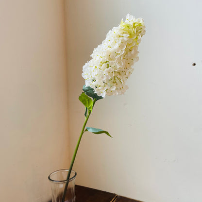 Peegee Hydrangea Stem