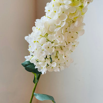 Peegee Hydrangea Stem