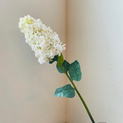 Peegee Hydrangea Stem