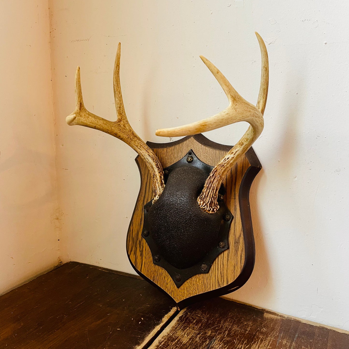 The Emporia Whitetail Deer Plaque Mount- Vintage