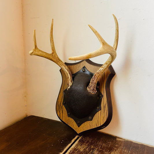 The Emporia Whitetail Deer Plaque Mount- Vintage