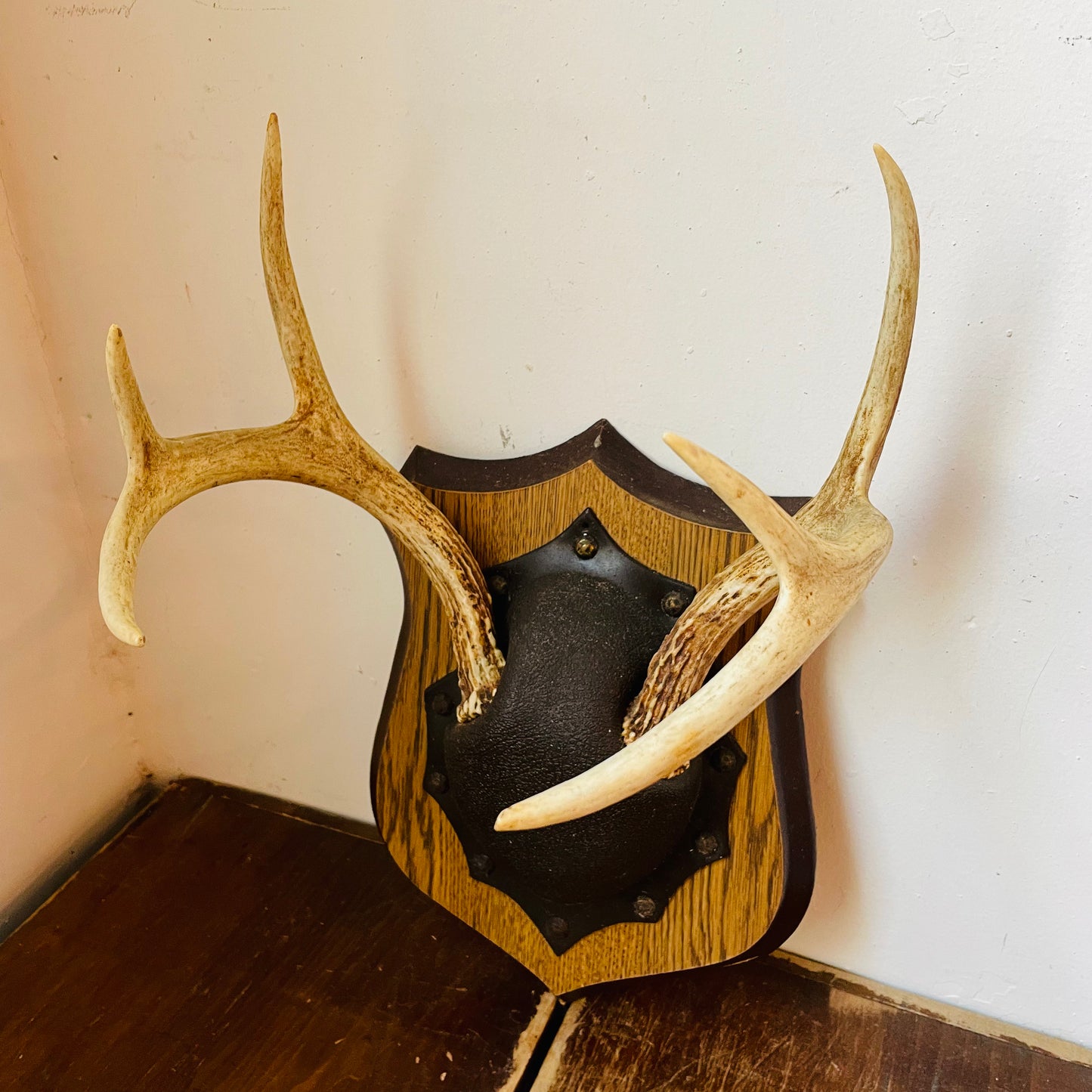 The Emporia Whitetail Deer Plaque Mount- Vintage