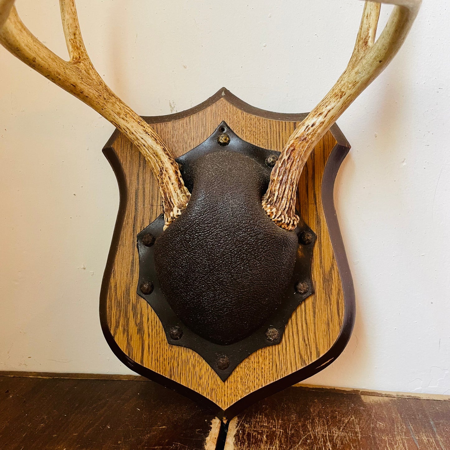 The Emporia Whitetail Deer Plaque Mount- Vintage