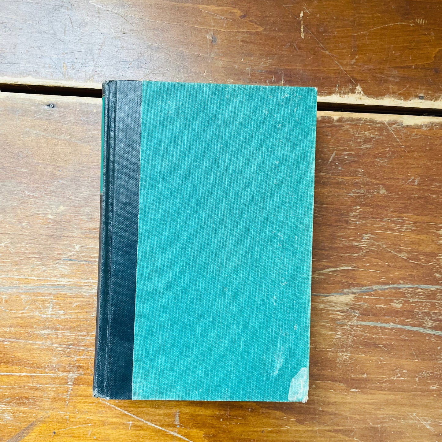 "Dear & Glorious Physician" Vintage Book- Vintage