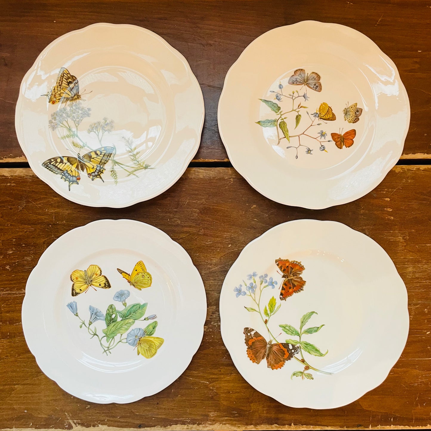 Queen's Fine Bone Chine Horchow Collection Set of 4- Vintage