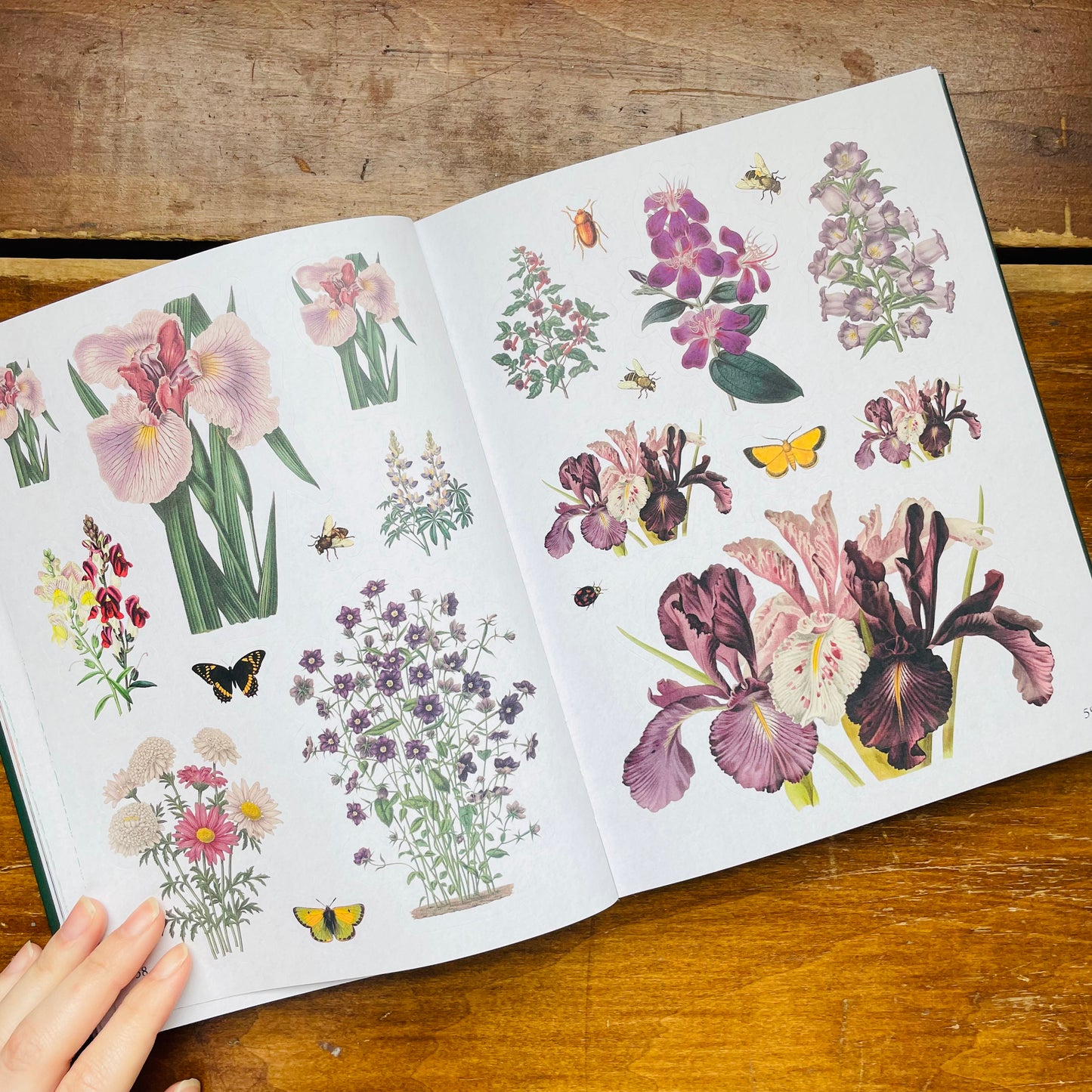 The Botanist's Anthology Sticker Book