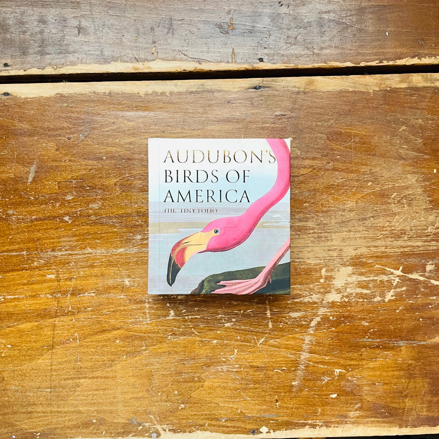 Audubon's Birds of America: The Tiny Folio