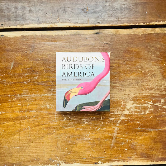 Audubon's Birds of America: The Tiny Folio