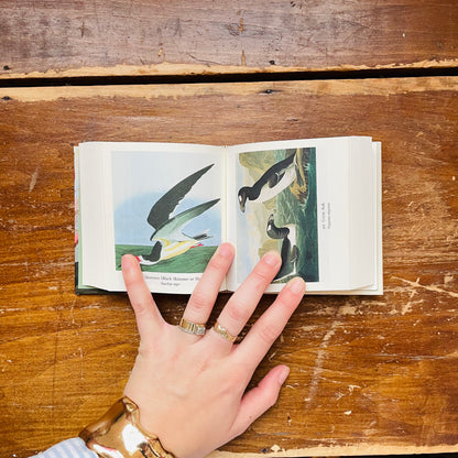 Audubon's Birds of America: The Tiny Folio