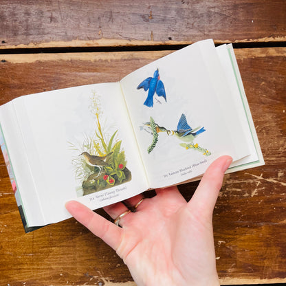 Audubon's Birds of America: The Tiny Folio