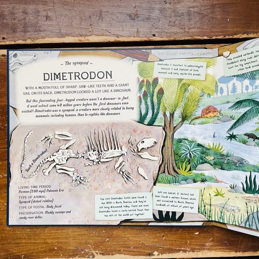 The Fossil Keeper's Treasure: With Amazing Fossils to Touch