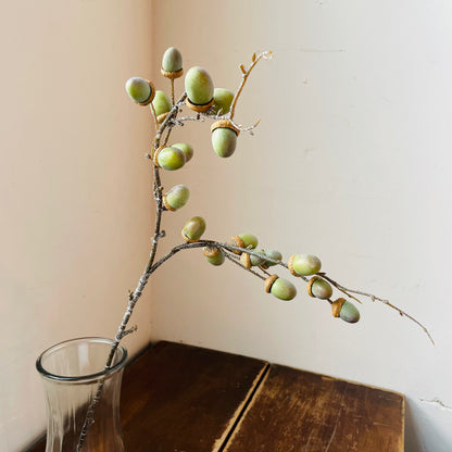 Green Acorn Stem