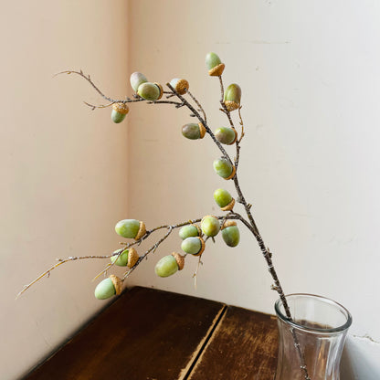 Green Acorn Stem