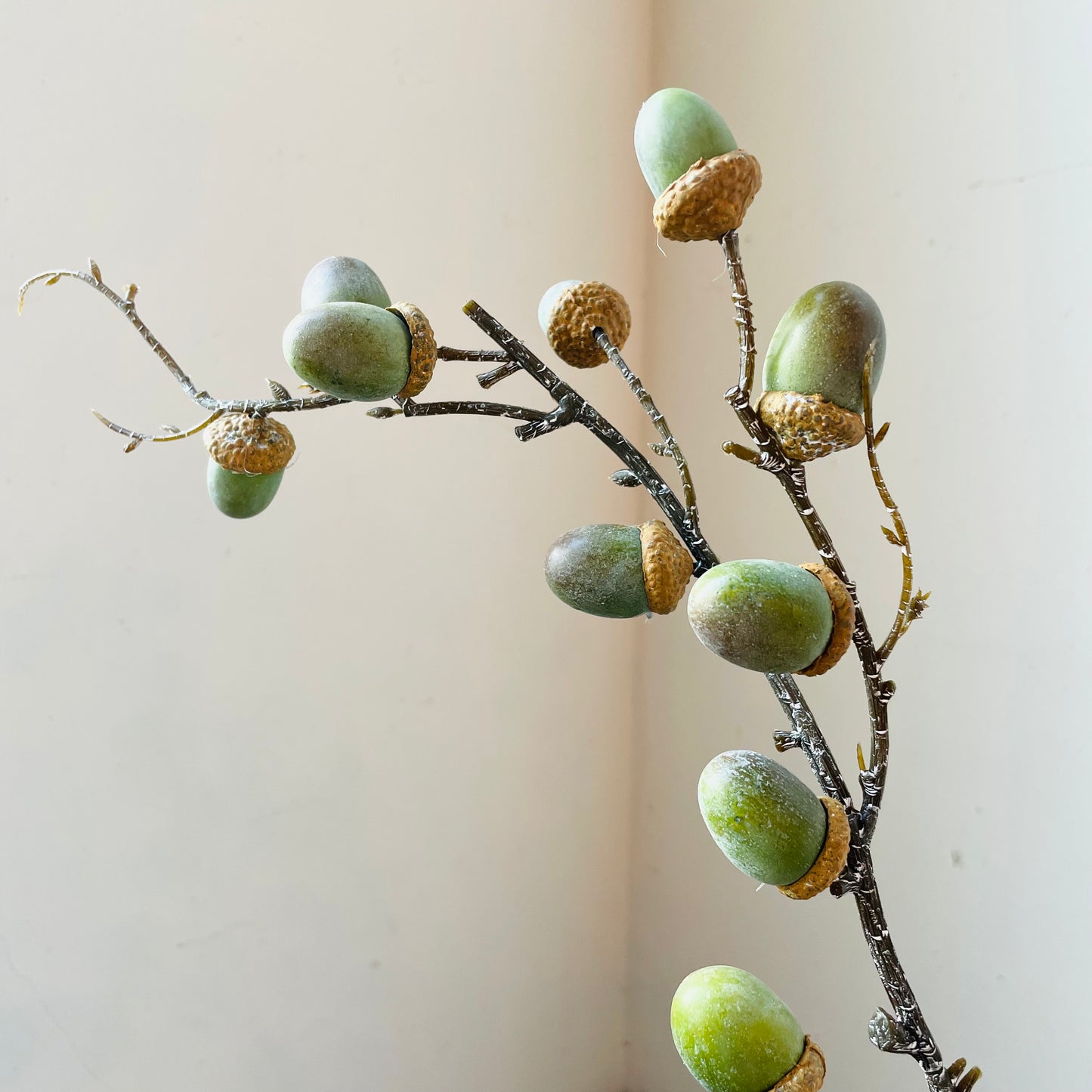 Green Acorn Stem