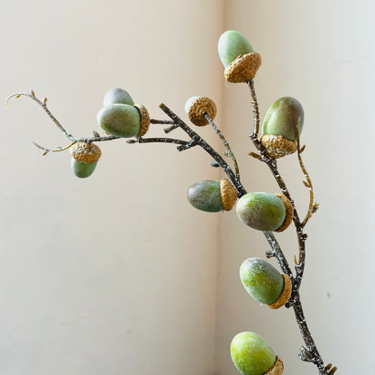Green Acorn Stem