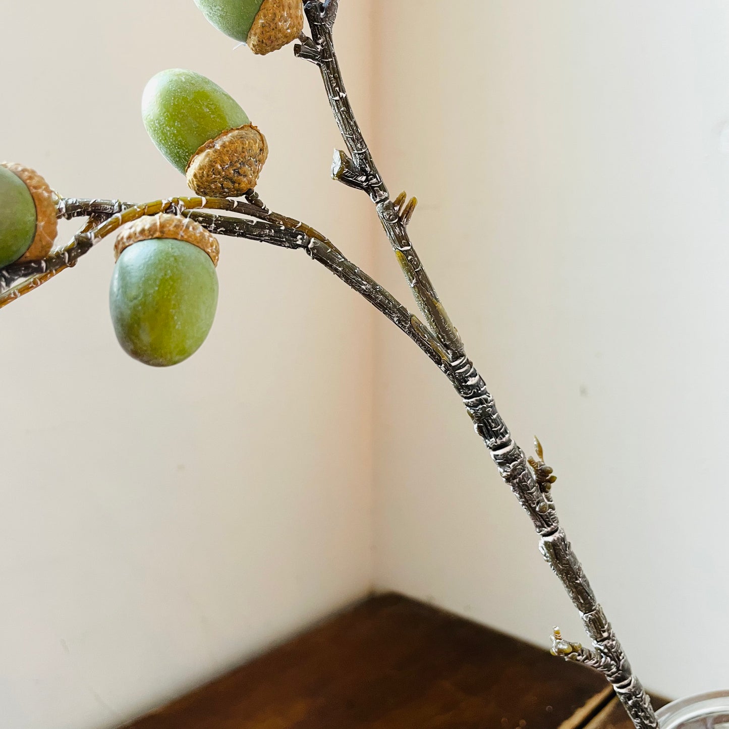 Green Acorn Stem