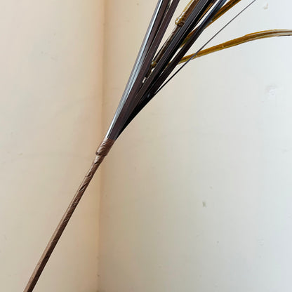 Brown Wheat and Grass Spray