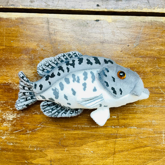 Black Crappie Plush