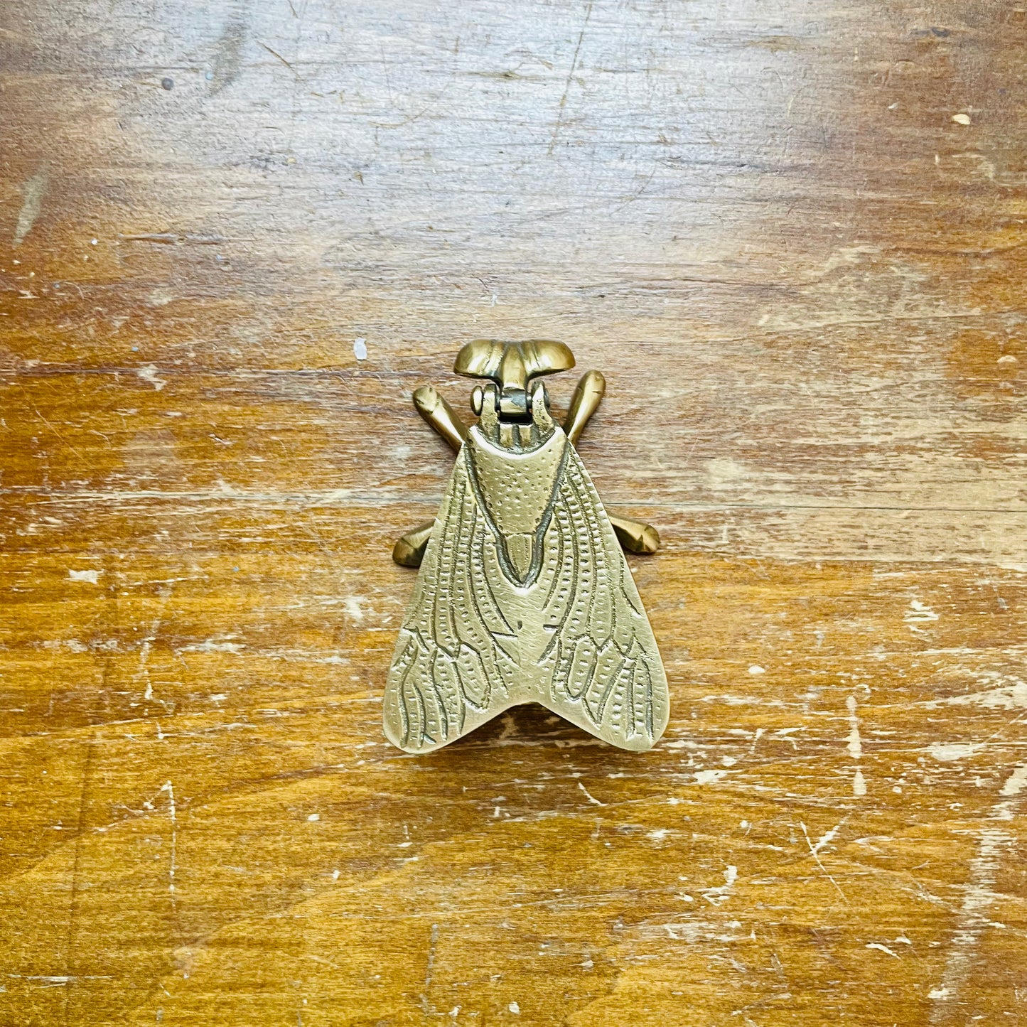 Brass Fly