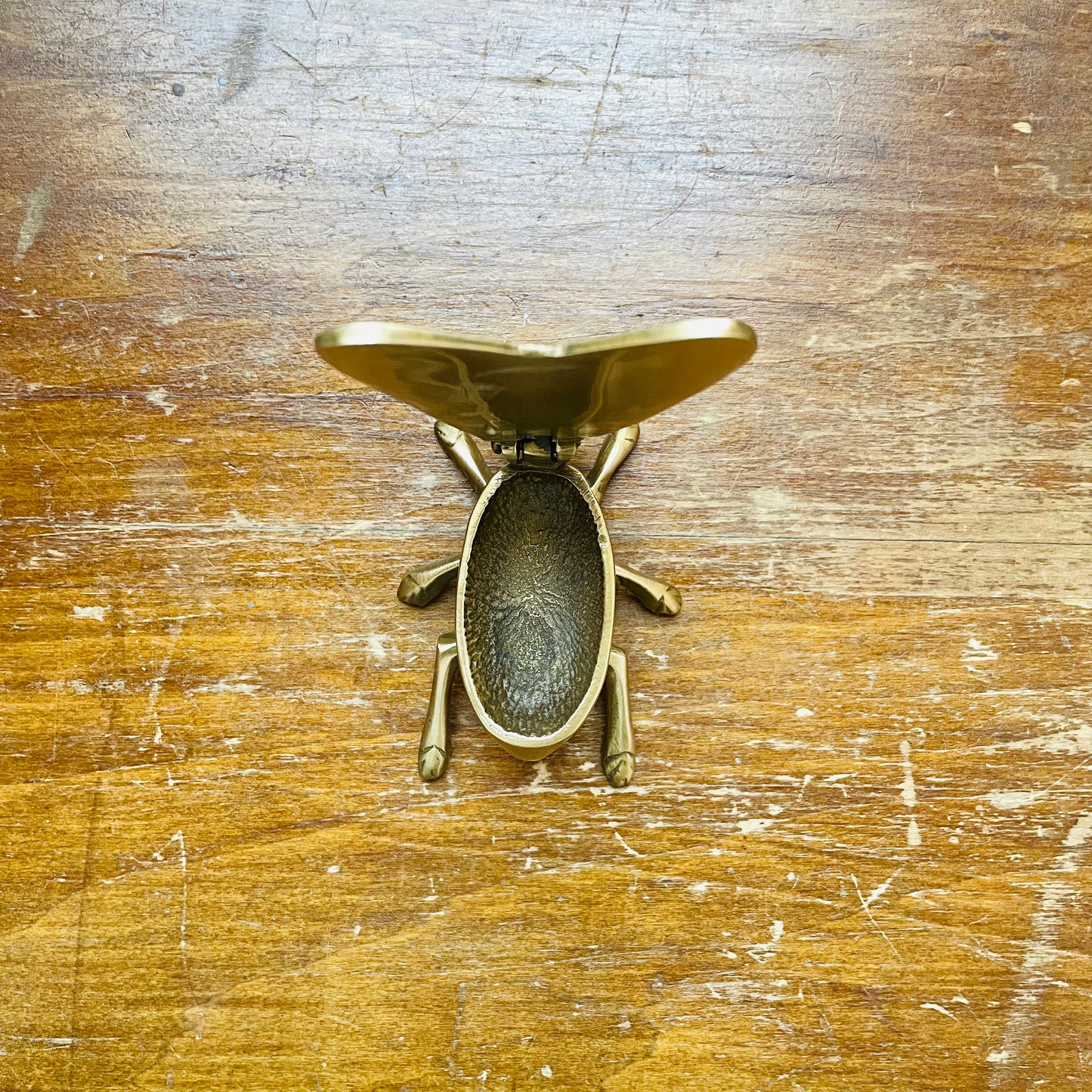 Brass Fly