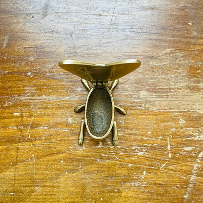 Brass Fly