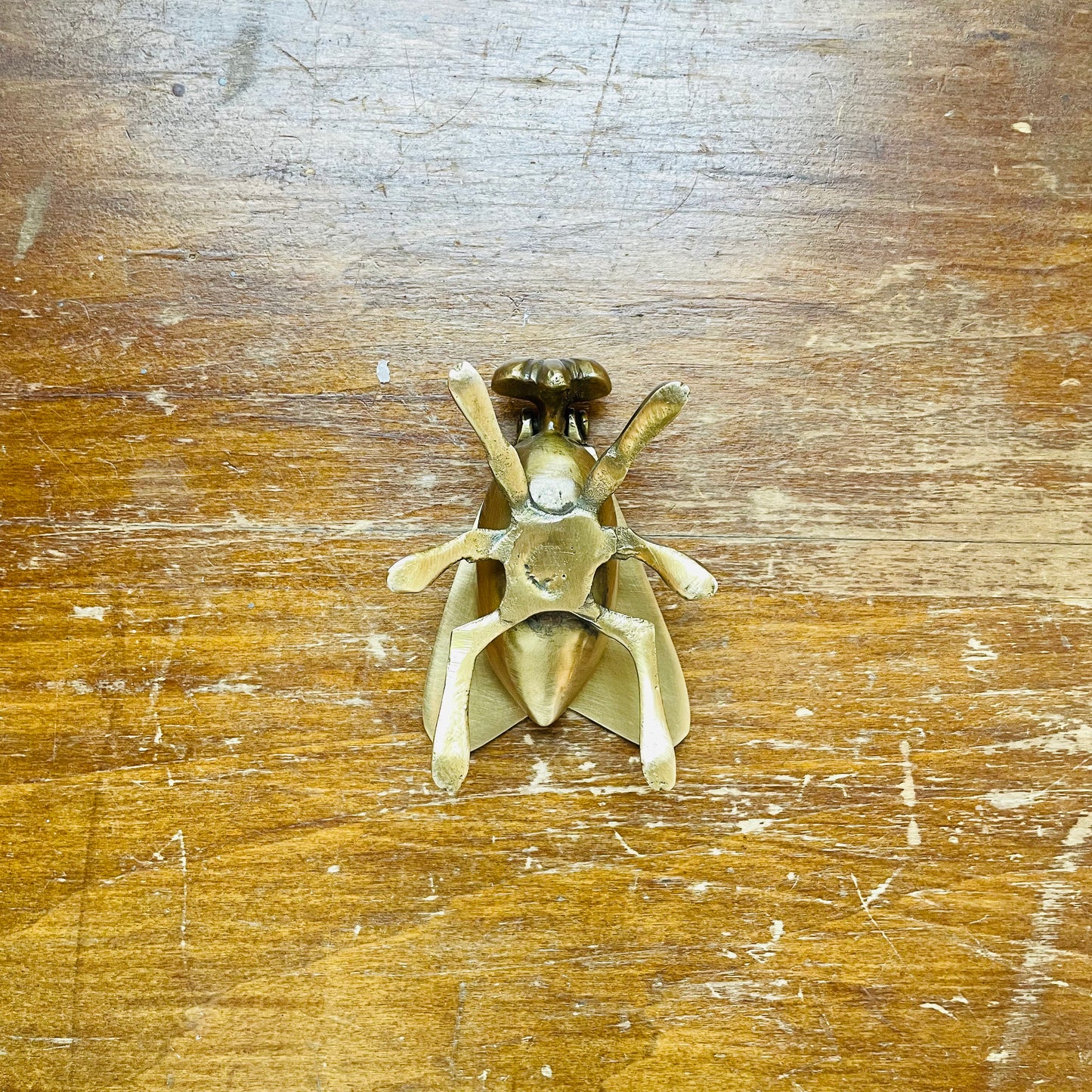 Brass Fly