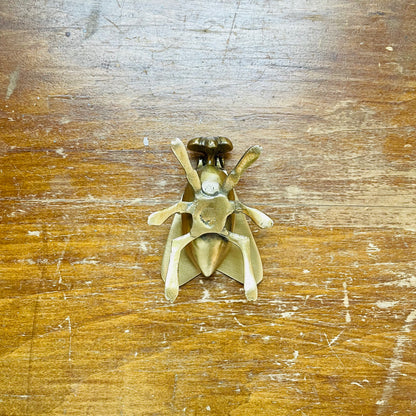Brass Fly