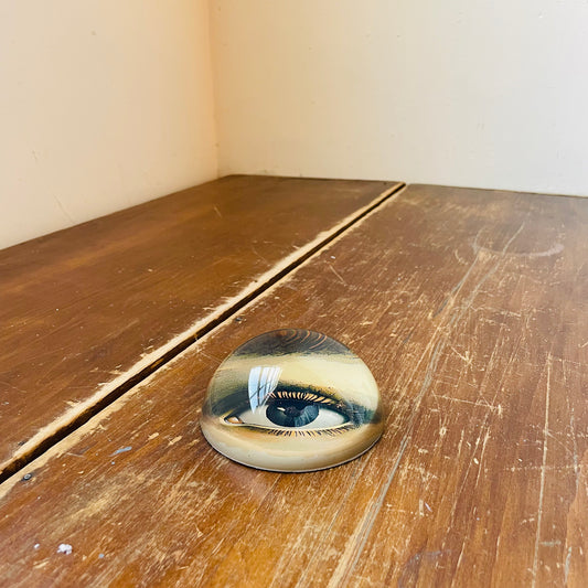 Eye of the Beholder Paper Weight