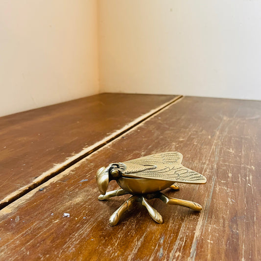 Brass Fly