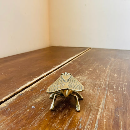 Brass Fly