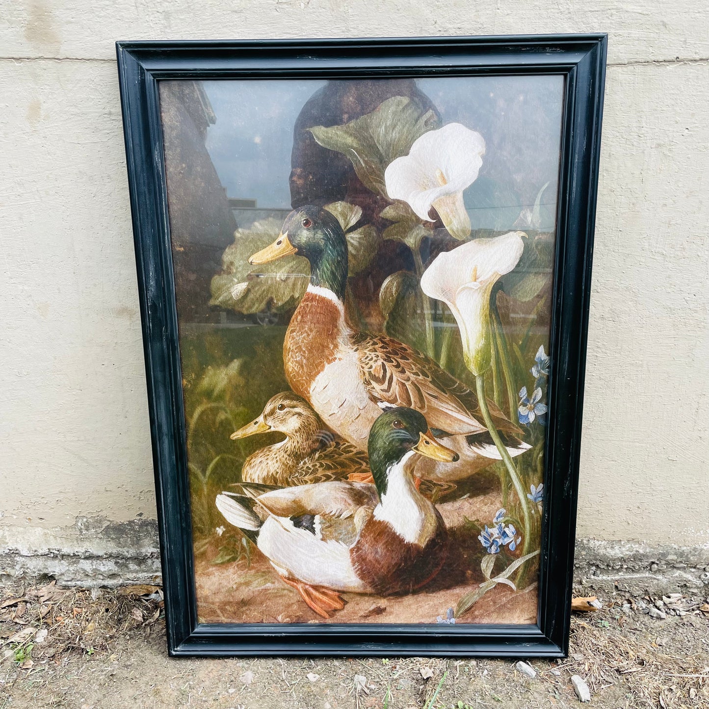 Wood Framed Mallards & Calla Lillies Wall Art