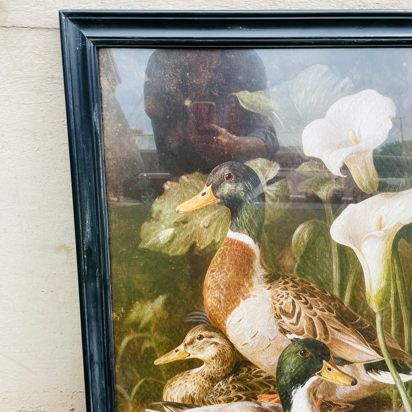 Wood Framed Mallards & Calla Lillies Wall Art