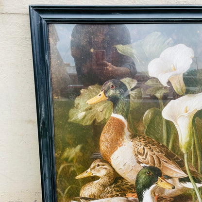 Wood Framed Mallards & Calla Lillies Wall Art