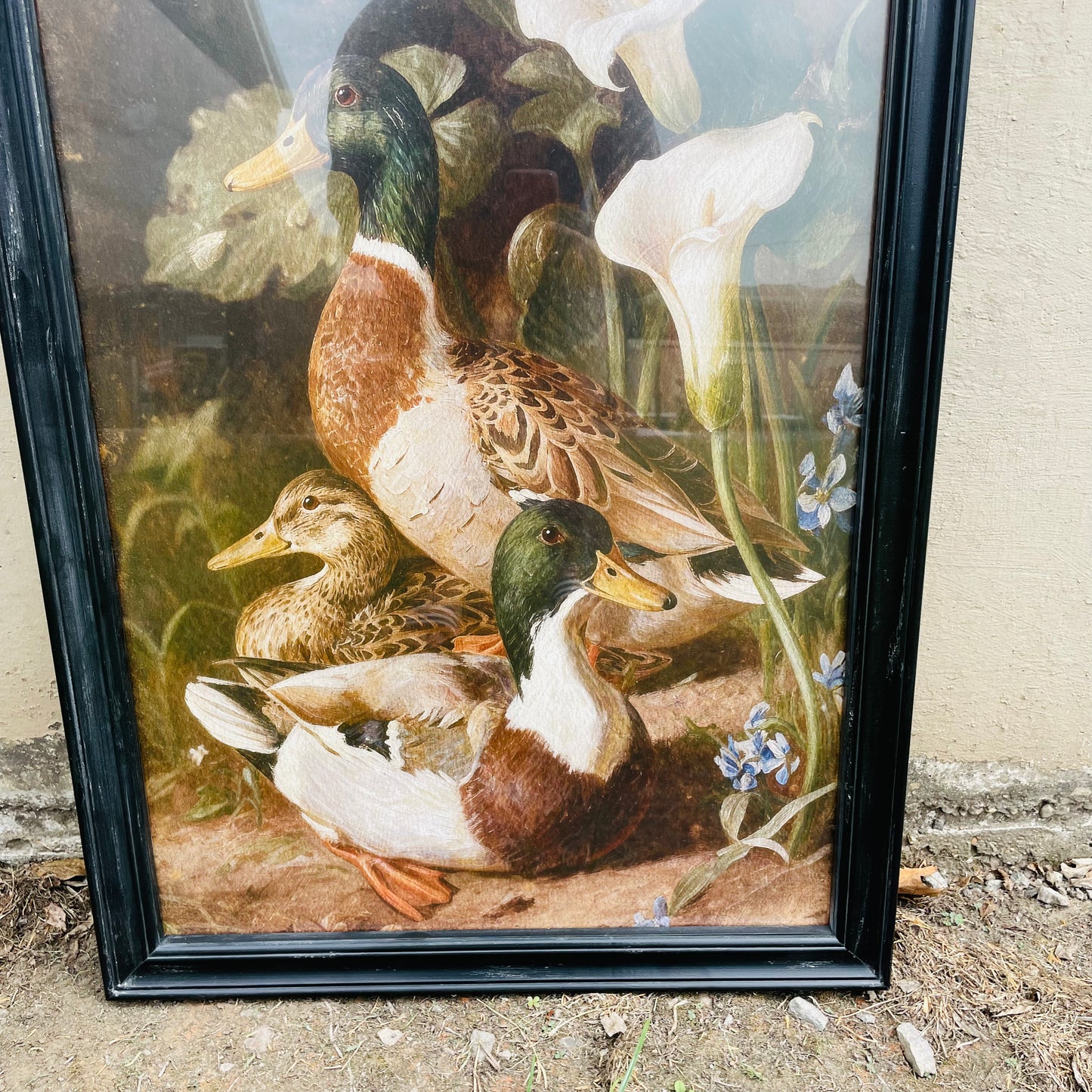 Wood Framed Mallards & Calla Lillies Wall Art
