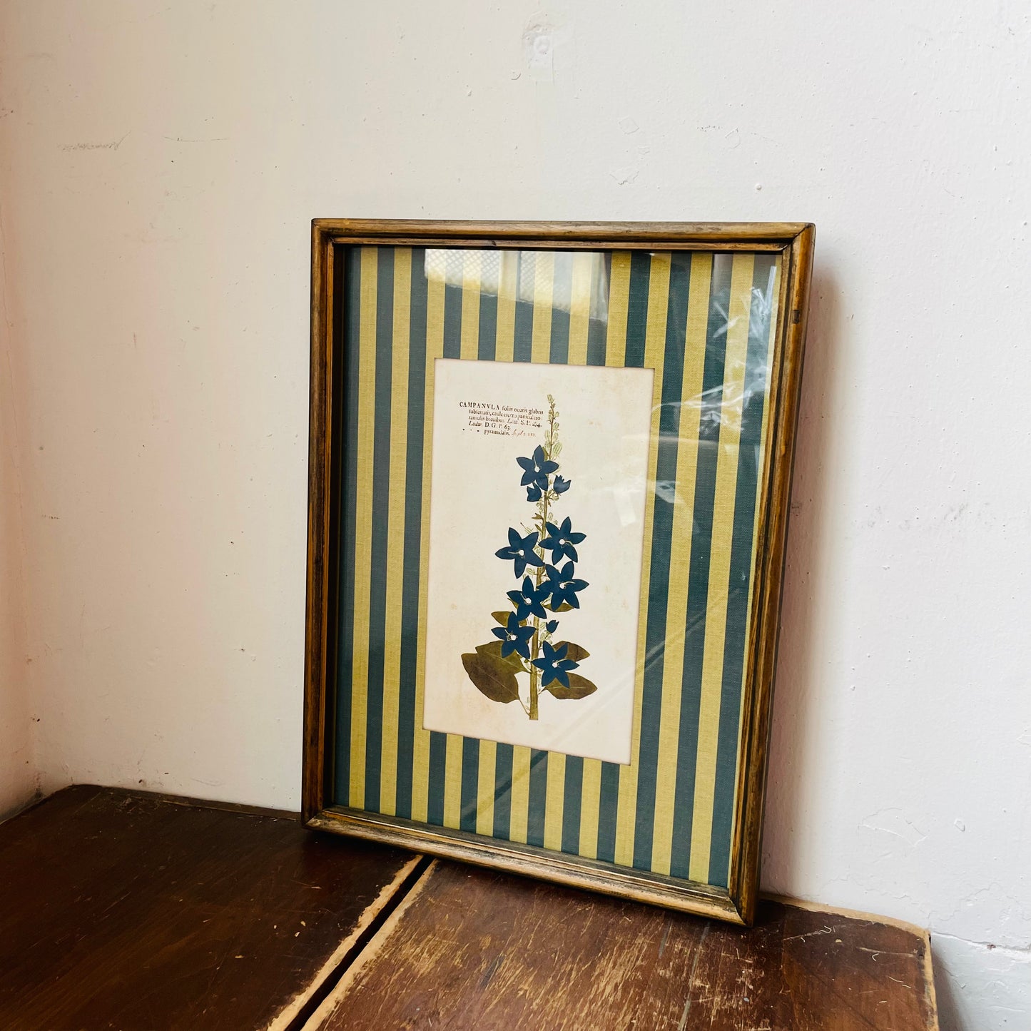 Vagabond Botanical & Striped Mat Wall Art