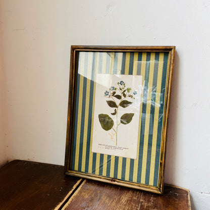 Vagabond Botanical & Striped Mat Wall Art